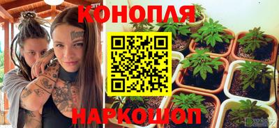 мяу мяу мука Бугуруслан