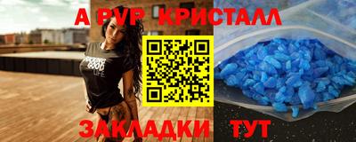 СК Будённовск