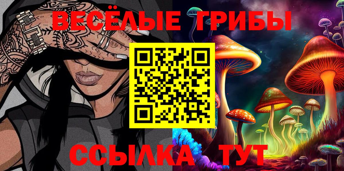 Псилоцибиновые грибы ЛСД Кострома