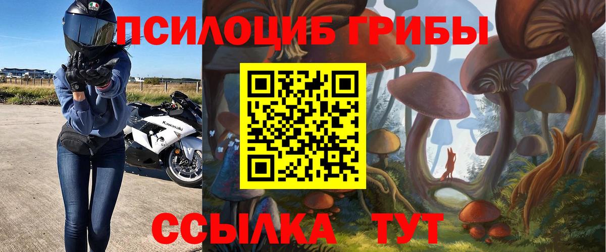 Кострома  что такое наркотик  Вход с VPN  Псилоцибиновые грибы Cubensis 